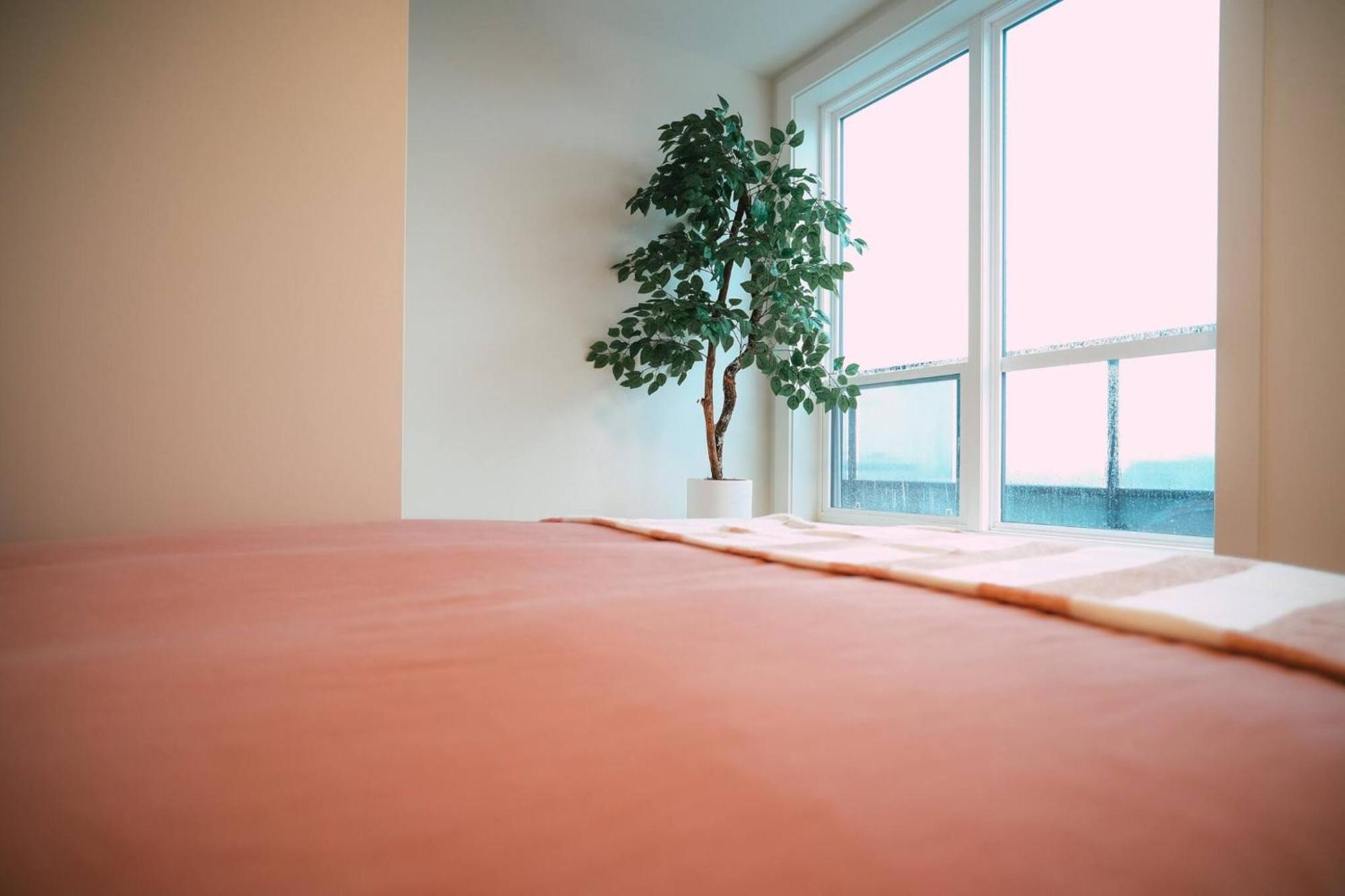 Chic Cozy Retreat - 2Br - Stunning North End Views Halifax Exterior foto